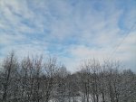 IMG_20210103_130340.jpg