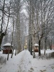 IMG_20210104_163514.jpg