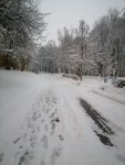 IMG_20210104_163737.jpg