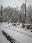 IMG_20210104_163741.jpg