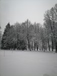 IMG_20210104_163856.jpg
