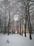 IMG_20210104_163907.jpg