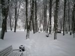 IMG_20210104_163937.jpg