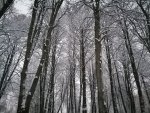 IMG_20210104_163944.jpg
