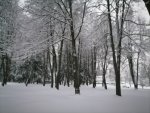 IMG_20210104_164008.jpg