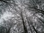 IMG_20210104_164014.jpg