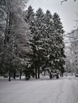 IMG_20210104_164130.jpg