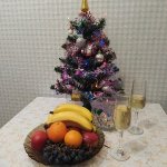 IMG_20210107_005640_resize_73.jpg