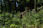 DSC_5307.jpg