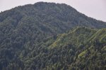 DSC_5427.jpg