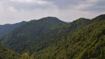DSC_5428.jpg