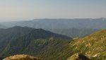 DSC_5600.jpg