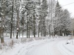 IMG_20210109_100425.jpg
