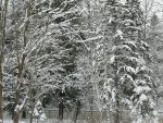IMG_20210109_101209.jpg