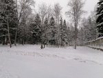 IMG_20210109_101218.jpg