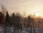 IMG_20210112_094534.jpg