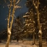 IMG_20210114_075156_399.jpg