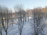IMG_20210115_103500.jpg