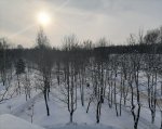 IMG_20210115_125437_579.jpg
