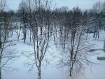 IMG_20210116_164336.jpg