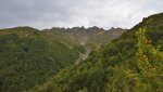 DSC_5447.jpg