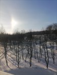 IMG_20210117_111817.jpg