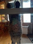 IMG-20210117-WA0000.jpg