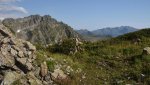 DSC_5461.jpg