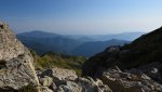 DSC_5526.jpg