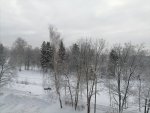 IMG_20210119_094123.jpg