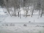 IMG_20210119_094133.jpg