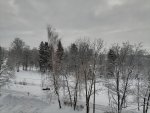 IMG_20210119_094127.jpg