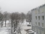 IMG_20210122_100031.jpg