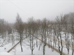 IMG_20210123_095937.jpg