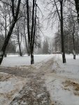 IMG_20210124_100436.jpg