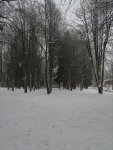 IMG_20210124_100442.jpg