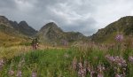 59-DSCF7432-4.jpg