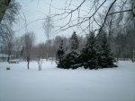 IMG_20210129_081510.jpg
