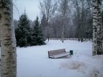IMG_20210129_081521.jpg