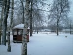 IMG_20210129_081529.jpg