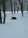 IMG_20210129_081608.jpg