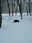 IMG_20210129_081610.jpg