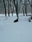 IMG_20210129_081615.jpg