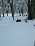 IMG_20210129_081618.jpg