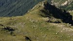 DSC_5622.jpg