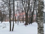 IMG_20210201_082709.jpg