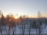 IMG_20210202_084302.jpg