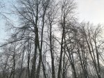 IMG_20210205_085146.jpg