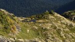 DSC_5775.jpg