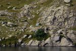 DSC_5826.jpg